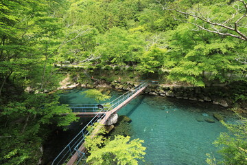 白龍湖