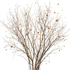 Obraz premium branches of a tree
