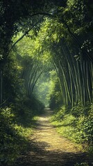 Naklejka premium A lush green bamboo forest with a winding dirt path