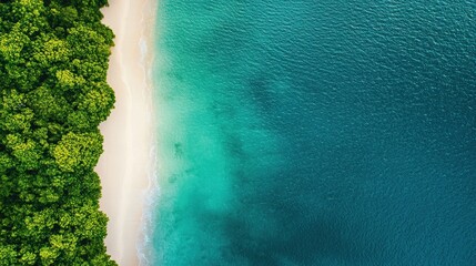 Scenic aerial view of tropical beach lush forest high-resolution image coastal environment serene blue waters