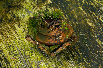 Pile of old terracotta plant pots covered with moss, with shallow depth of field
