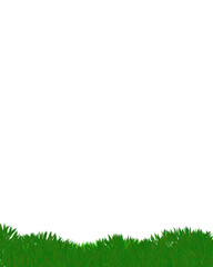 Obraz premium green grass border