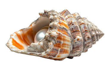 A Luminous Pearl Nestled Within A Swirling, Orange-striped Seashell, A Treasure Discovered On A Sun-drenched Beach, Showcasing Natures Exquisite Artistry With Vibrant Detail Against A Pure White Backd