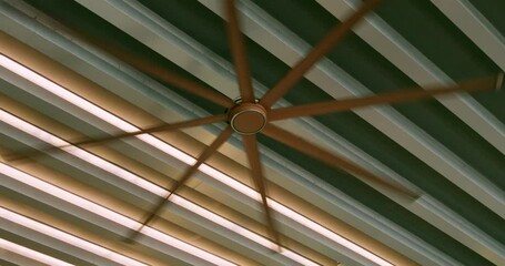 A dynamic ceiling fan spins above enhancing the modern ambiance of a stylish interior design.