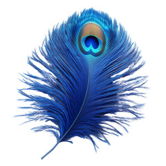 Obraz premium Peacock feather on a transparent background nature macro view vibrant colors