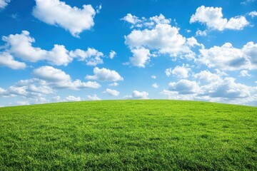 Obraz premium Green Field and Blue Sky: Capturing the serene beauty of nature, this image showcases a vibrant green field rolling gently beneath a vast, bright blue sky dotted with fluffy clouds.
