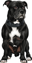 Detailed vector illustration of a dog