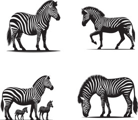 Graceful Zebra Vector Illustration
