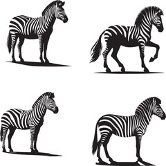  Striking Zebra Vector Illustration