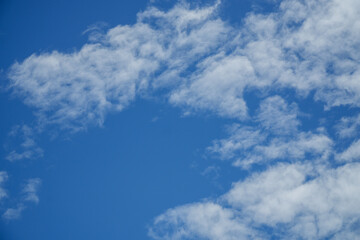 Wispy Clouds Floating in a Clear Blue Sky