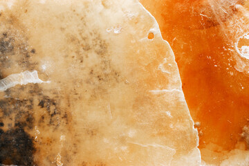 Abstract texture of marine clam shell, natural patterns and warm orange-yellow color organic textured background. Natural details and soft gradients, natural aesthetics and organicity, minimal