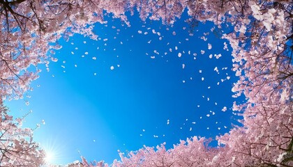 桜の花のフレーム：春と桜の風景。サムネイル、バナー、ショート動画に。