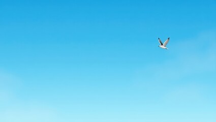 Fototapeta premium Serene Seagull Soaring in a Vivid Blue Sky Peaceful Nature Scene