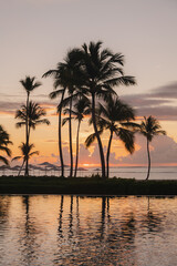 Obraz premium Tropical Sunset Reflection – Serene Palm Trees by the Ocean