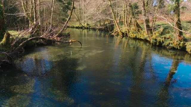 River With Calm And Crystal Clear Water  - aerial shot