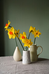 Yellow daffodils in vases. Spring background