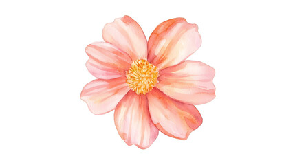 Fototapeta premium A watercolor painting of a pink flower with a yellow center