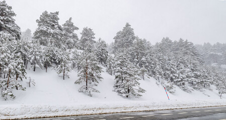 The Sierra de Guadarrama mountains in Madrid during the snowfall of March 2025, on the road from Navacerrada to Puerto de Cotos