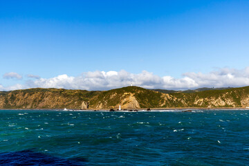 Rugged Coastline and Blue Waters Near Wellington