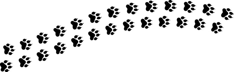 Paw vector foot trail print of cat dog and other. Pattern animal tracks isolated on white background. Black silhouette of a paw print
