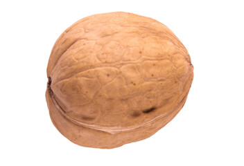 single walnut isolated on white background.