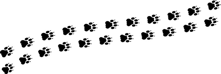 Paw vector foot trail print . Dog, cat, bear, wolf, chicken, cow, crocodile, donkey, duck, elephant and other silhouette animal. Paw print trail on transparent background.