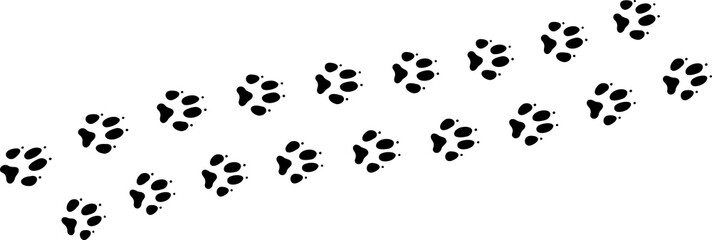 Paw vector foot trail print . Dog, cat, bear, wolf, chicken, cow, crocodile, donkey, duck, elephant and other silhouette animal. Paw print trail on transparent background.