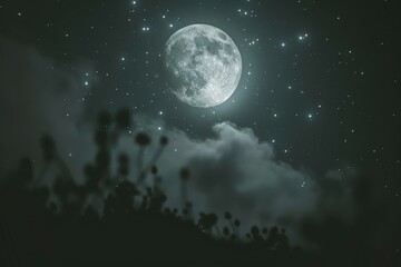 Fototapeta premium A stunning night scene featuring a glowing moon surrounded by twinkling stars and wispy clouds, with silhouettes of plants in the foreground.