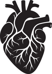 Human Heart Silhouette Vector