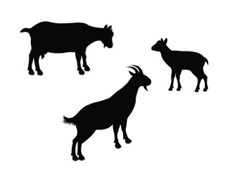 butcher, cattle, milk, silhouettes, silhouette, set, icons, meat, various, domestic animals, white background, domestic goat, symbol, isolated, goat, vector, illustration