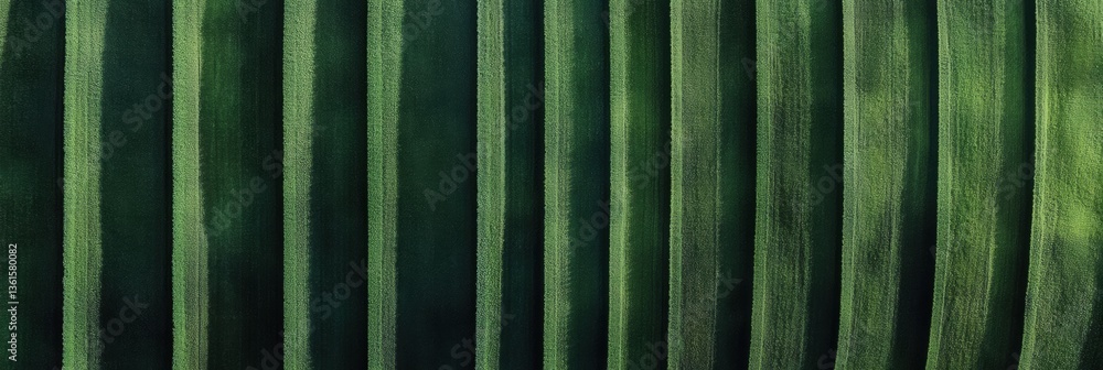Poster Expansive green crop rows create a stunning minimalist landscape under soft light Generative AI
