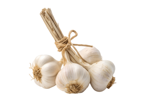 Garlic bulbs bundled together on a white background, transparent PNG cutout for culinary or food-related designs