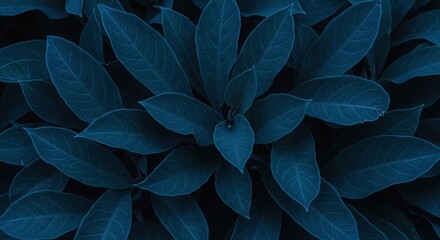 Deep teal leaves create a stunning backdrop.