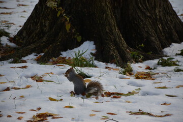 A trip to New York City is an unforgettable experience