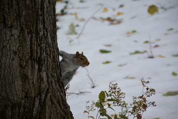 A trip to New York City is an unforgettable experience