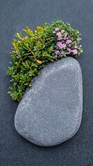 flower on the stone