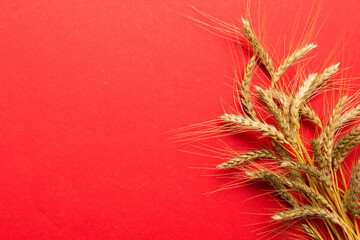 Sheaf of wheat ears close up and seeds on colored background. Natural cereal plant, harvest time...