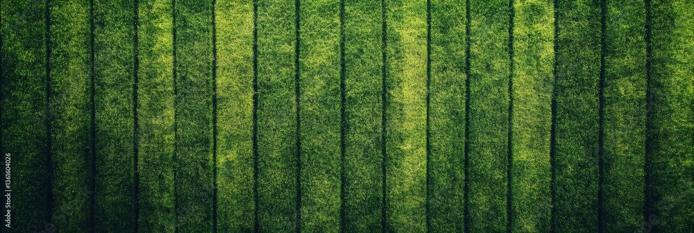 Poster Expansive view of neat green crop rows under soft light creating a serene landscape in the countryside Generative AI