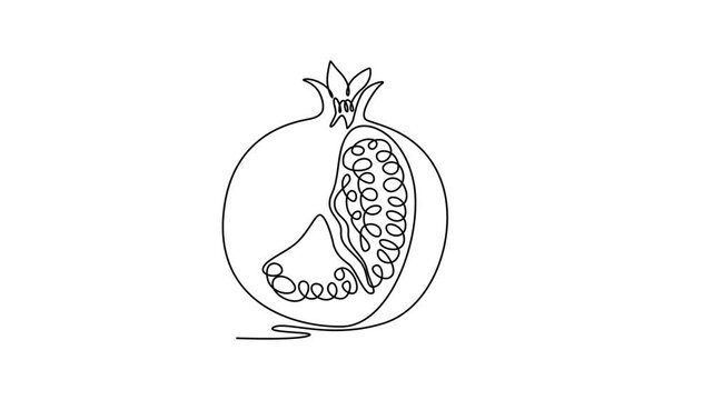Sliced Ripe pomegranates. Fruits concept. Single line draw design. Full length animation illustration. High quality 4k footage