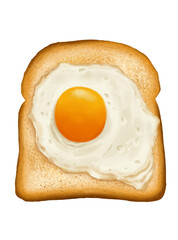 Breakfast Toast and Fried Egg with Semperit Cookies Vector Clipart Digital Food Illustration