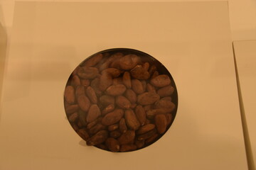Diferente artecha para chocolate