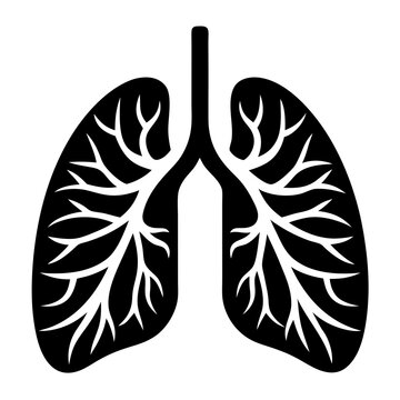 Black Silhouette of Human Lungs with Visible Bronchi and Trachea - Minimalistic Vector Design for Respiratory Health