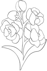 Coloring page Hoary Stock flowers Edible Flowers