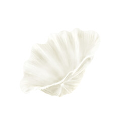 The shell of the hippopus clam. Digital watercolor illustration. Pearl oyster shell, beige shades, isolated on a white background. For posters, postcards, wallpapers, decor and design