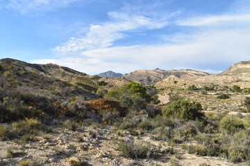 Campo montaña secos