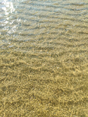 Sunlit Water. Sandy Seabed. Aquatic Rippled Surface, Abstract Texture, Light Patterns. Beauty in Nature. Top view.