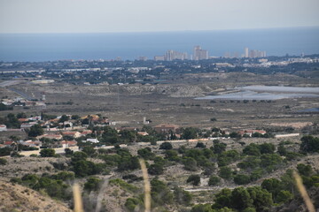 Lago pantano con paisaje