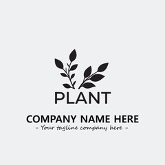Plant illustration for logo company black and white vector image

