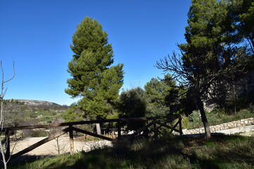 Prado con barandilla de madera