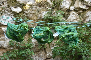 Secando pimientos al sol